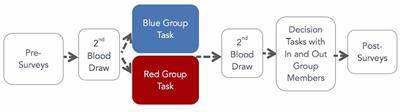 Endogenous Oxytocin Release Eliminates In-Group Bias in Monetary Transfers With Perspective-Taking